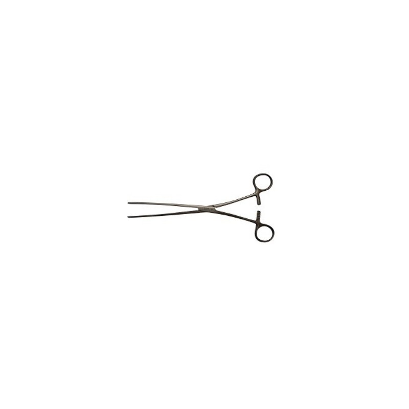 Clam Intestinal Teknosteel Doyen 23 Cm Curva