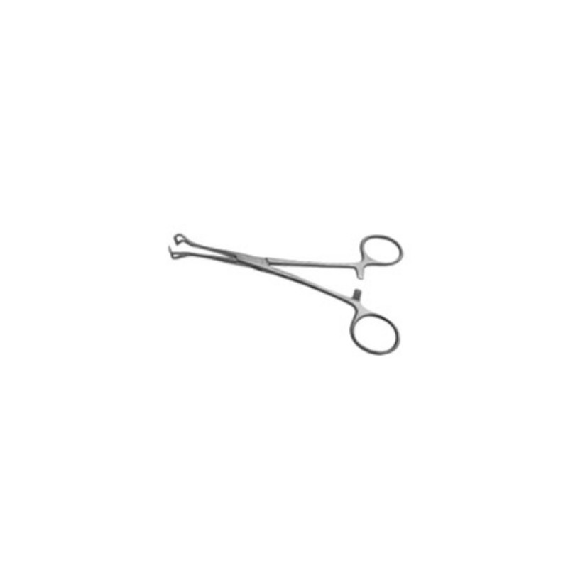Pinza Babcok 19 Cm.