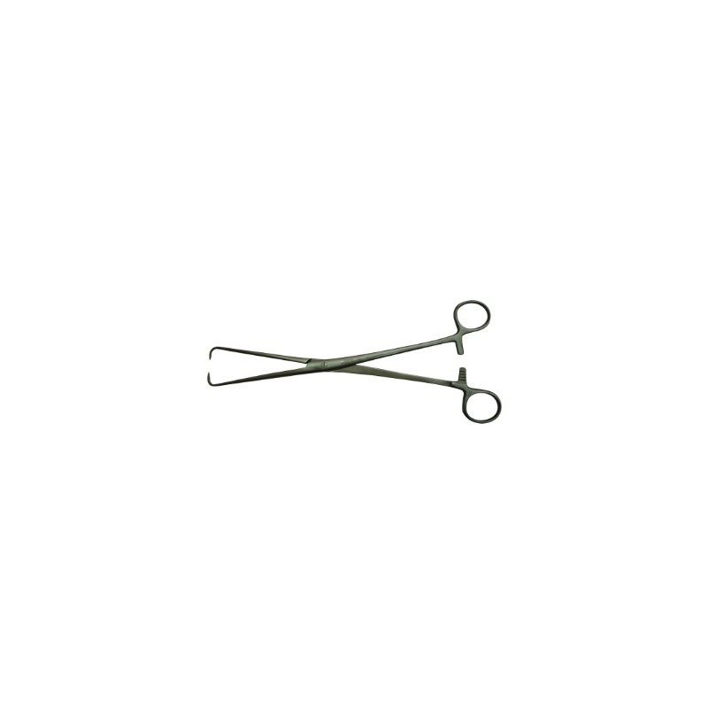 Pinza Pozzi Teknosteel 25 Cm